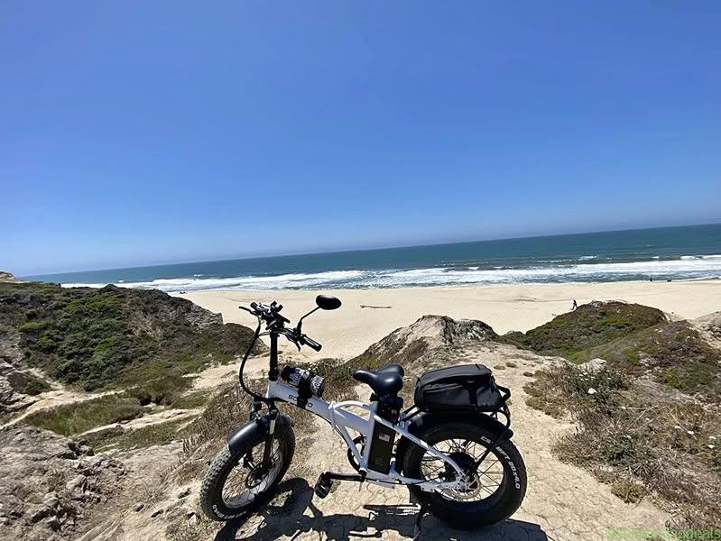 Adult Step-Over & Step-Thru Folding Fat Tire