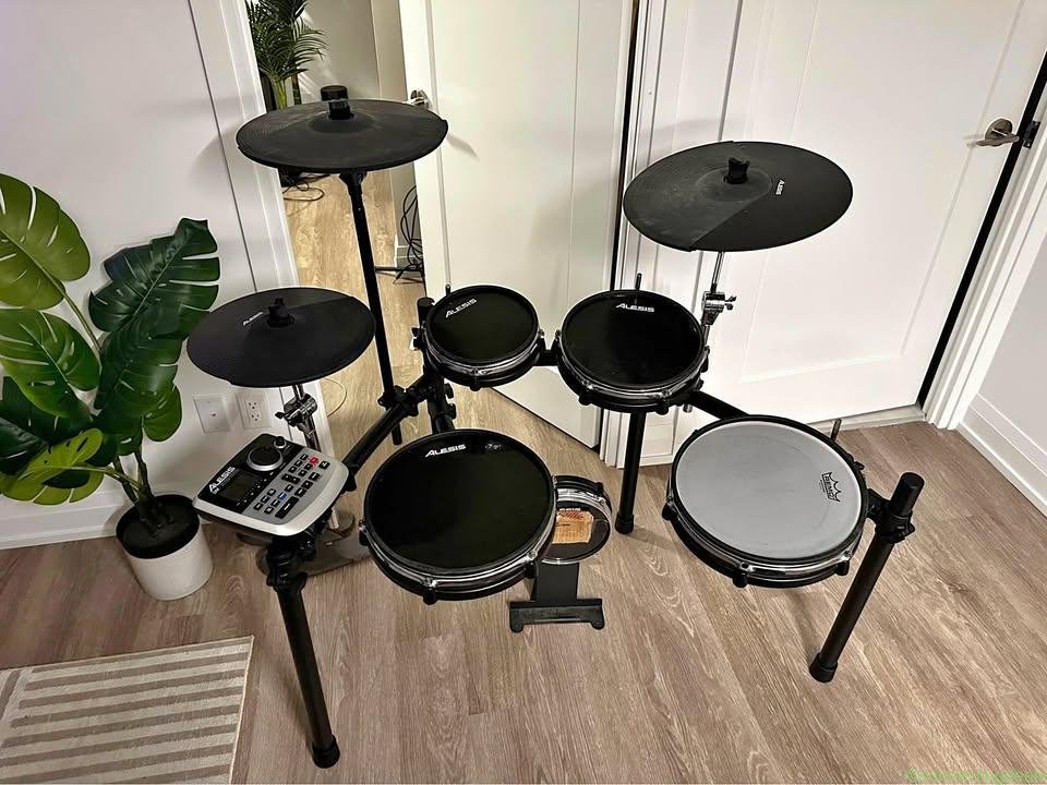 Alesis DM8 Electronic Drum Kit