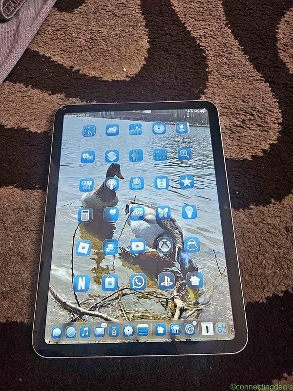Apple ipad 10 generation
