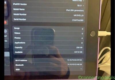 Apple iPad (9th generation) 256GB in New York