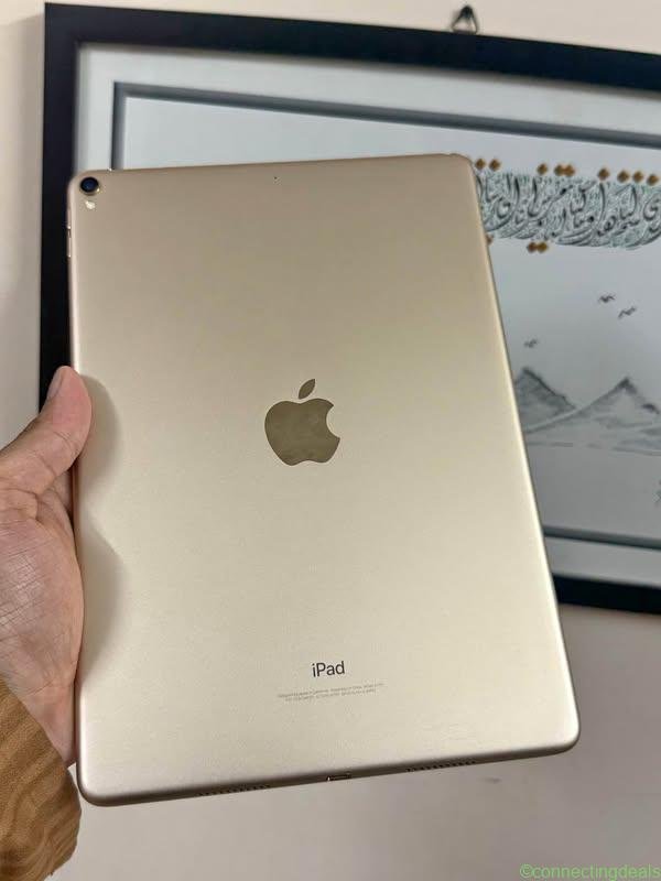 Apple iPad Pro 10.5 (2017) 256GB Excellent