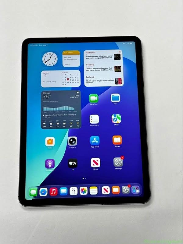 Apple iPad Pro 11” 2nd Gen 256GB