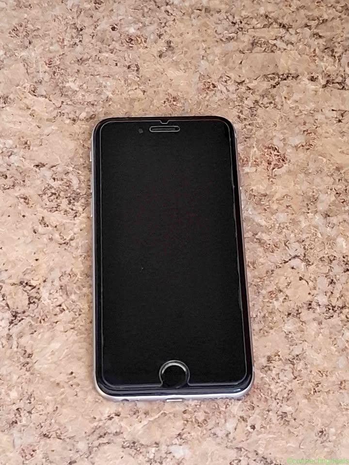 Apple iPhone 6