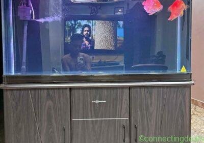Aquarium 4 fit minjung with fish in Mumbai