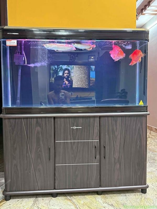 Aquarium 4 fit minjung with fish