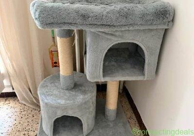Arbre à chat in Marseille