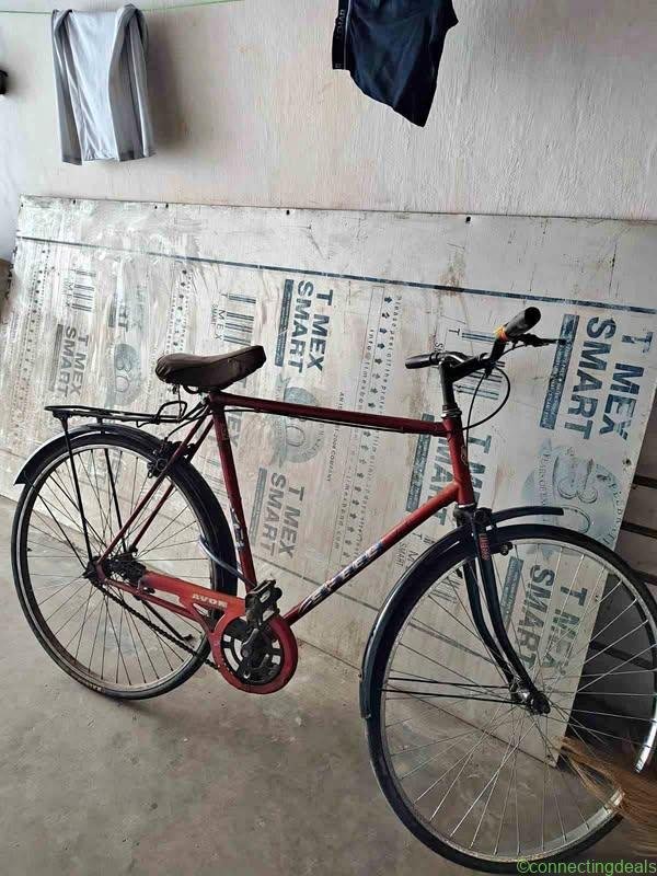 Avon cycle