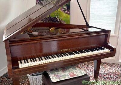 Free ad: Baby Grand Piano in Auckland. Baby Grand Piano in Auckland