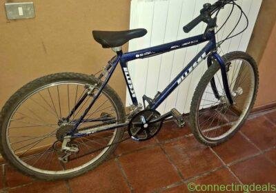 Bici mountain bike in Naples