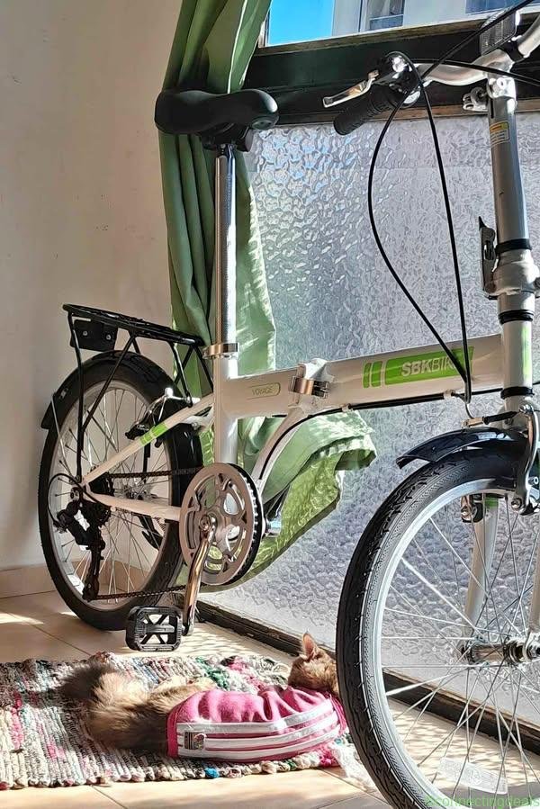 Bicicleta plegable