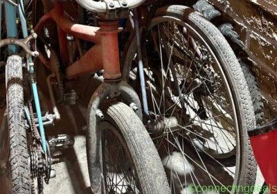 Bicicletas cualquier in Guadalajara