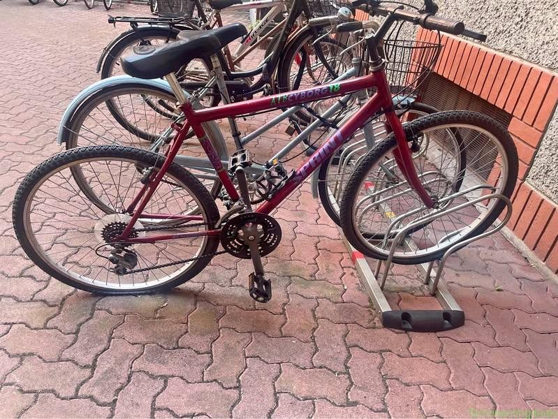 Bicicletta Mountain bike vintage rigida Sprint
