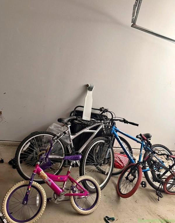 Bicycle & bike trailer