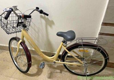 Bicycle in Cairo