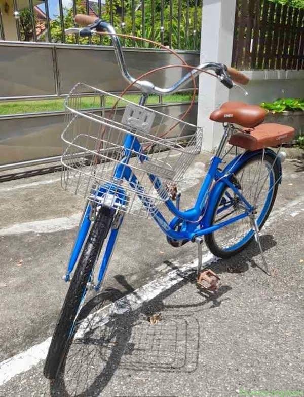 Bicycle Coyotte Brand 24″