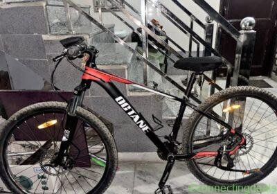 Bicycle in Delhi