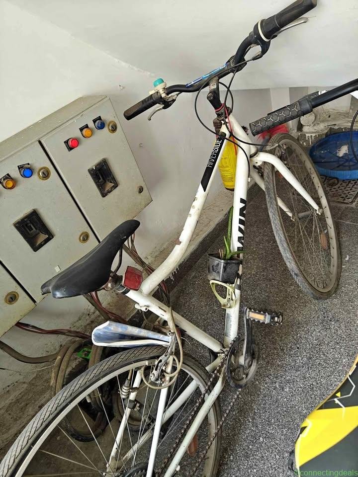 Bicycle