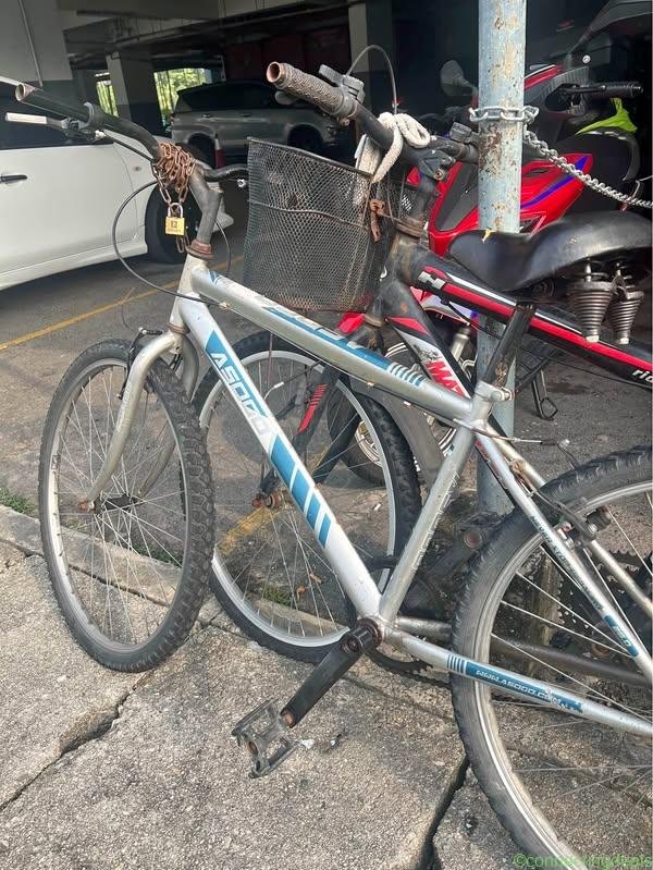 bicycle
