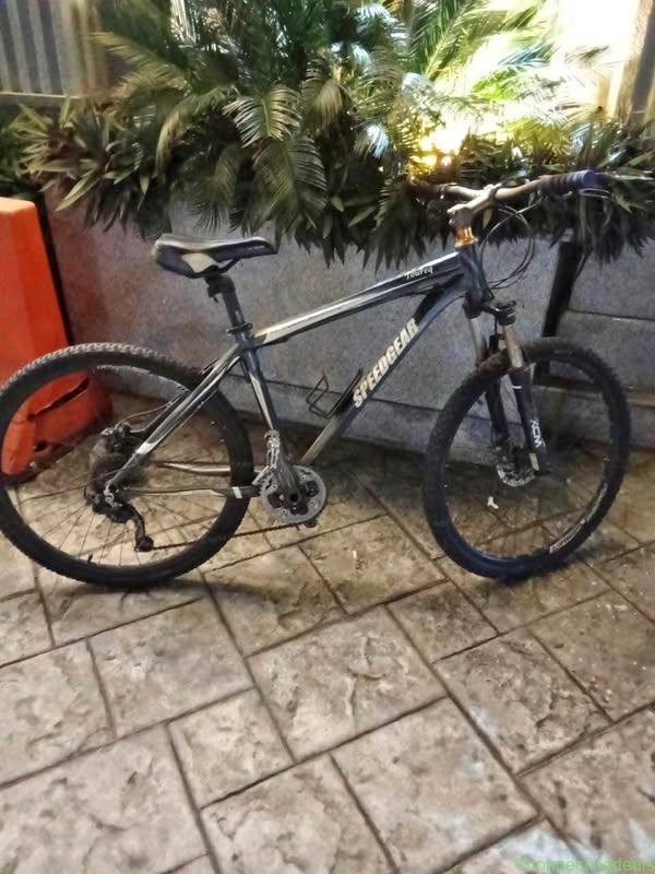 Bicycle mtb