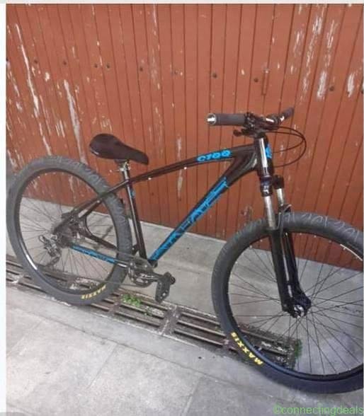 Bicycle