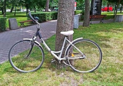 Free ad: bicycle/rower in Krakow. bicycle/rower in Krakow
