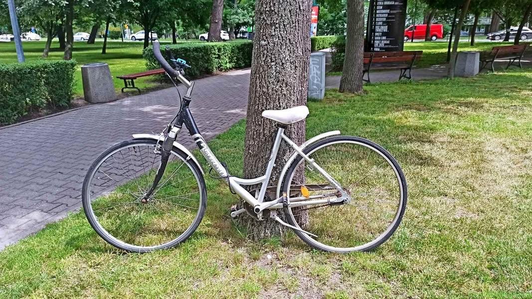 bicycle/rower