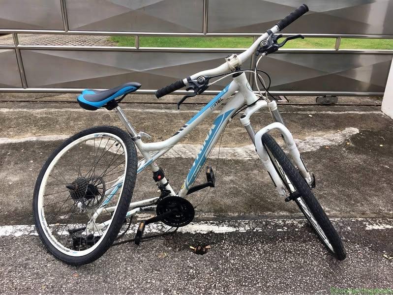 Bicycle Trynx M176L Alu 21speeds, 27″