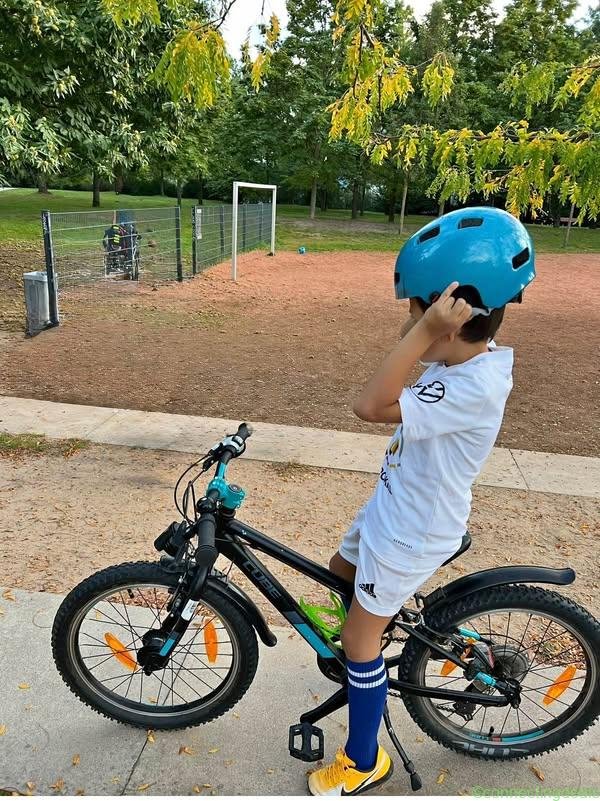 Bicycle Zoll 14