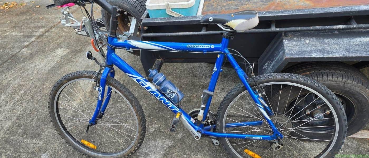 Bicycles for sale