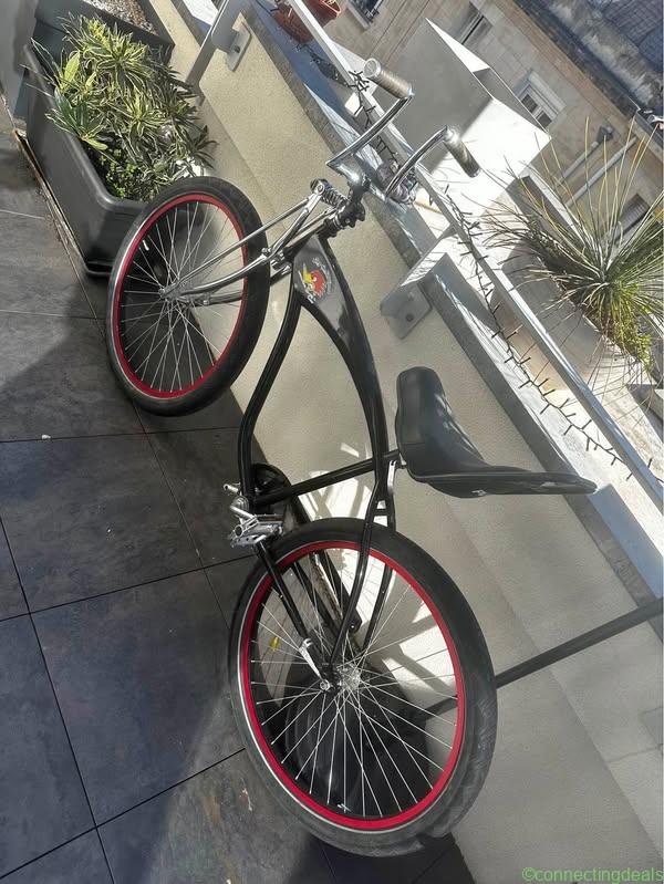 Bike cruiser unique