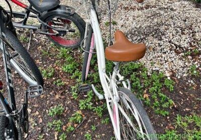 Bikes 🚲 in Jacksonville