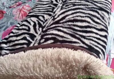 Blanket in Johannesburg