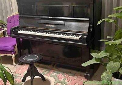 Bluthner piano for sale in Mansoura