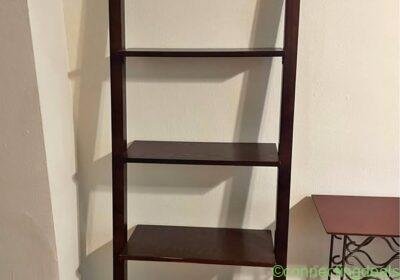Bookshelf in Chicago