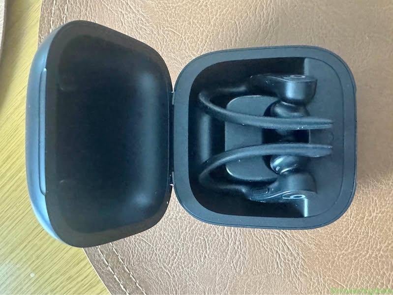 Bose Powerbeats Pro – Black
