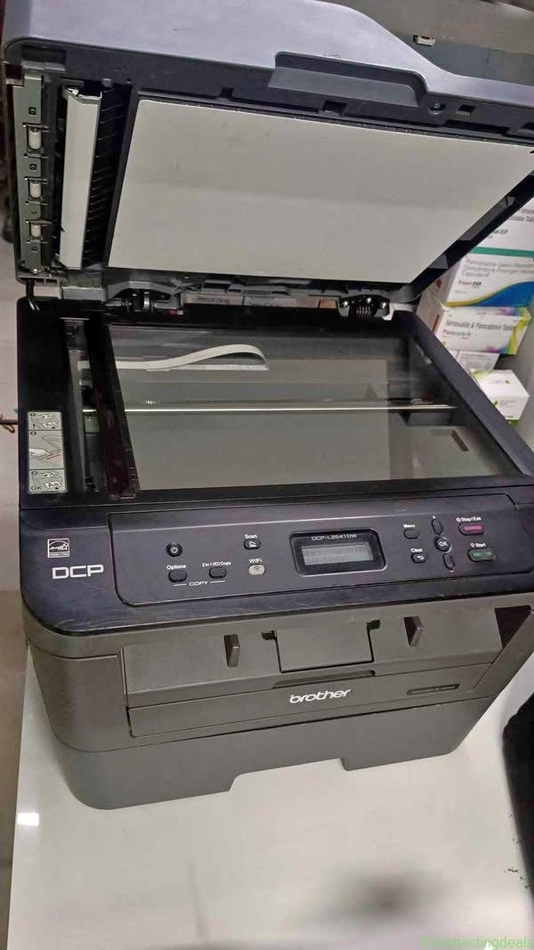 Brother printer DCP-L2541DW