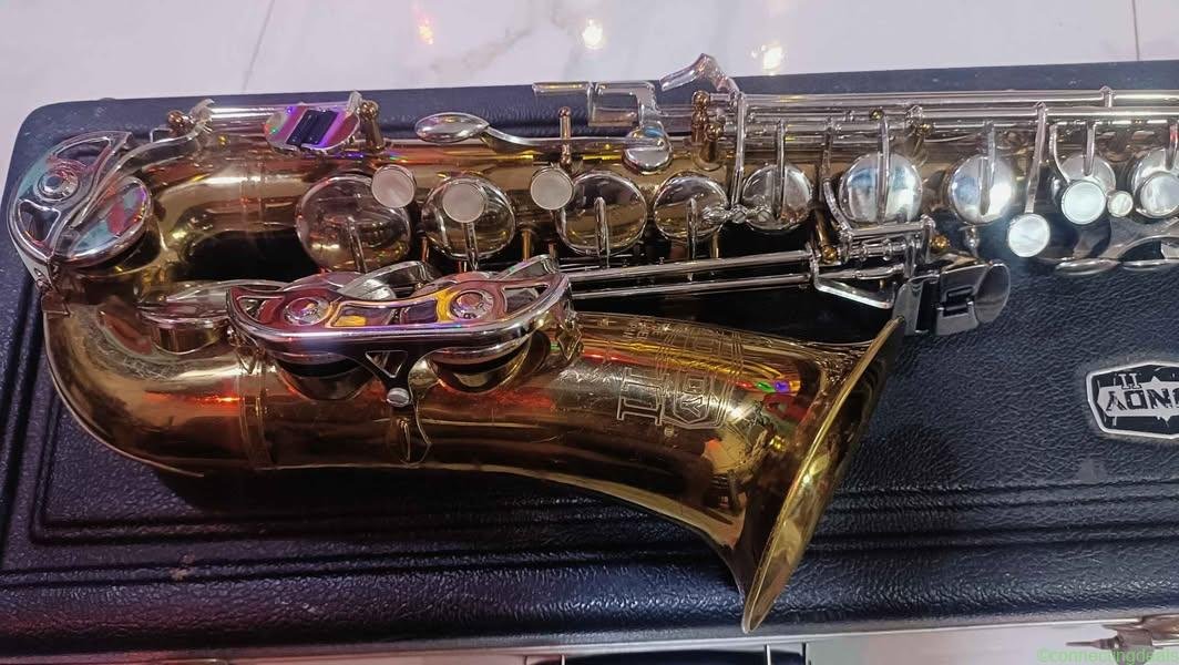 Bunddy Selmer 🎷 saxophone