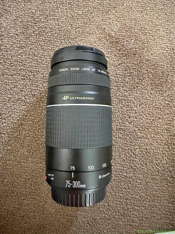 Canon EF 75-300mm f/4-5.6 III USM Telephoto Zoom
