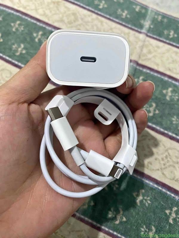 Cargador de iPhone