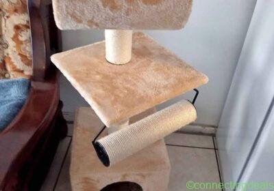 Cat scratchpole in Cape Town