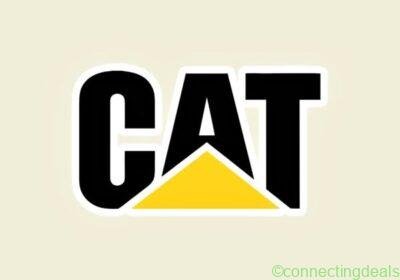 Free ad: Cat sis 2021 in Casablanca. Cat sis 2021 in Casablanca