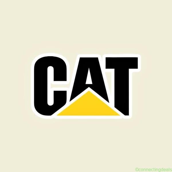 Cat sis 2021