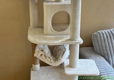 Cat tower in Chicago