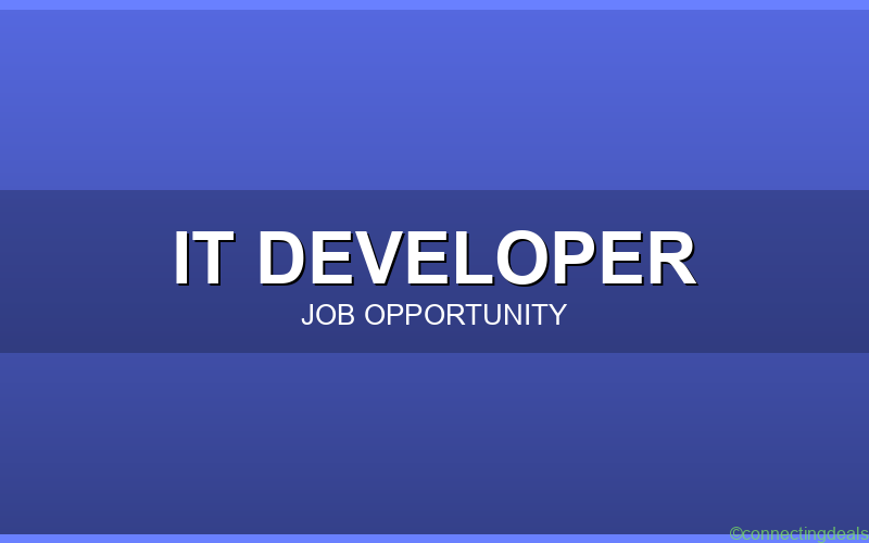 Certified IT Developer