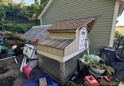 Chicken coop in New York