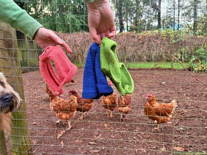 Chicken jumpers