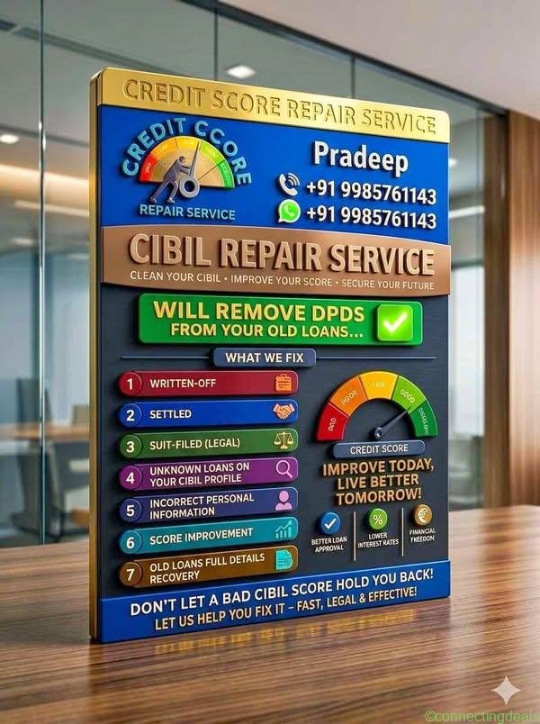 Cibil repair services