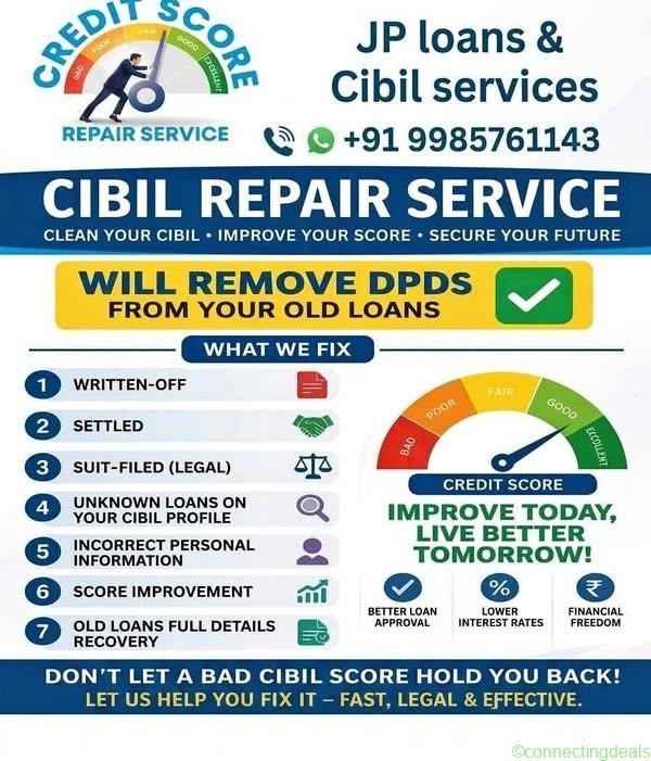 CIBIL Repair Services