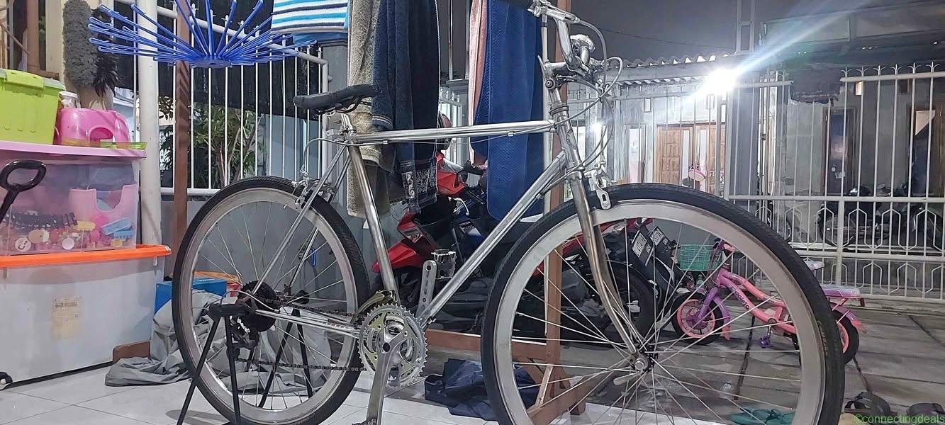 Commuter Bike Golden Eagle