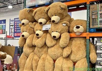 Free ad: Costco Bear in San Jose. Costco Bear in San Jose